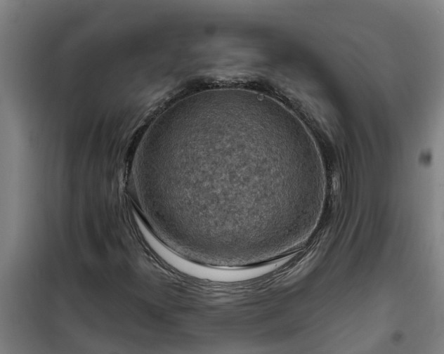 X0000101091300200807031717