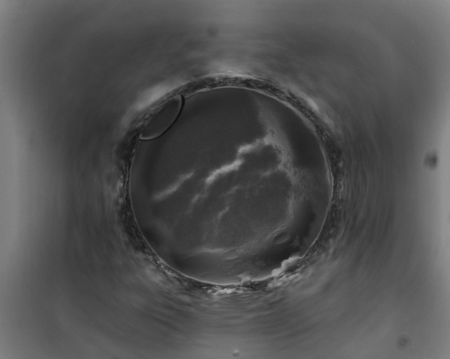 X0000101091303200807031717