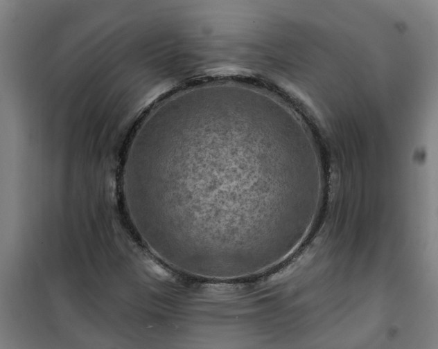 X0000101091305200807031717