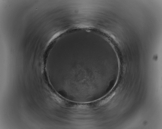 X0000101091306200807031717