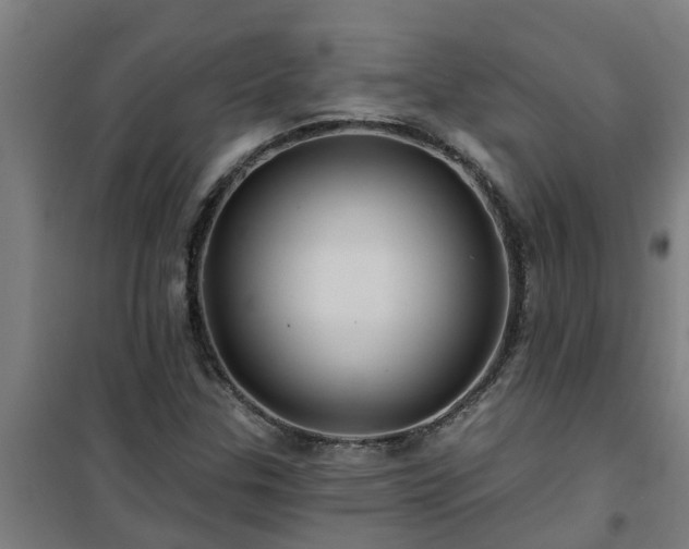 X0000101091307200807031717