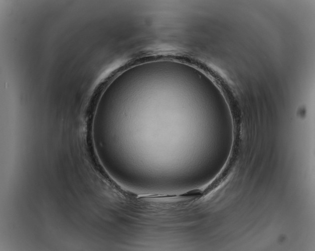 X0000101091309200807031717