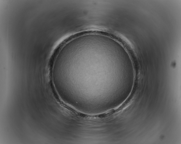 X0000101091310200807031717