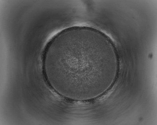 X0000101091311200807031717