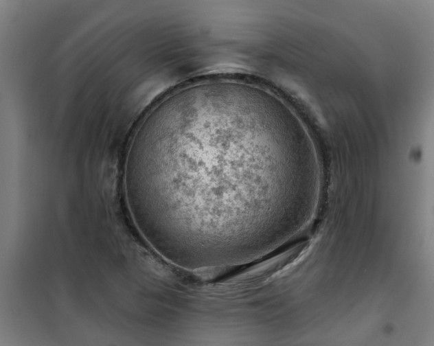 X0000101091313200807031717