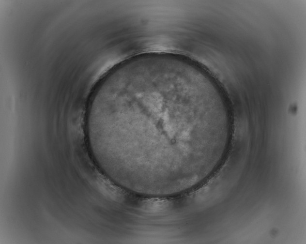 X0000101091314200807031717