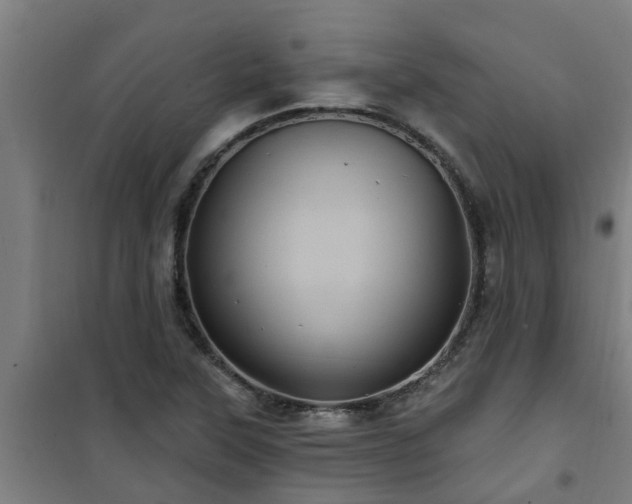 X0000101091315200807031717