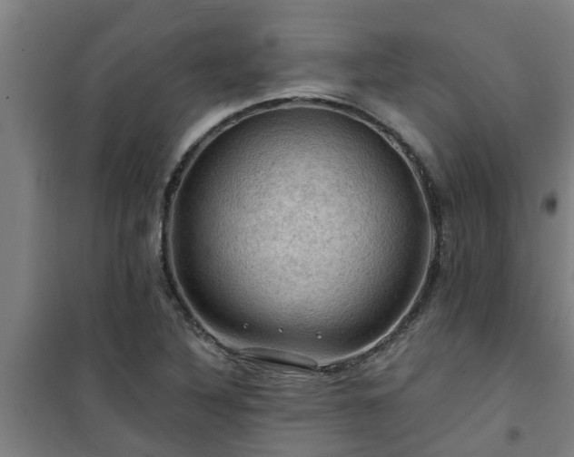 X0000101091316200807031717