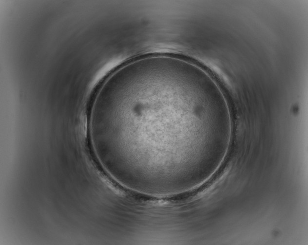 X0000101091317200807031717