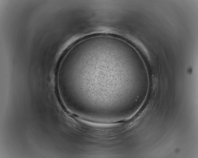 X0000101091318200807031717