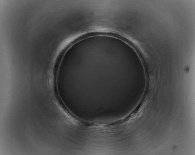 X0000101091319200807031717