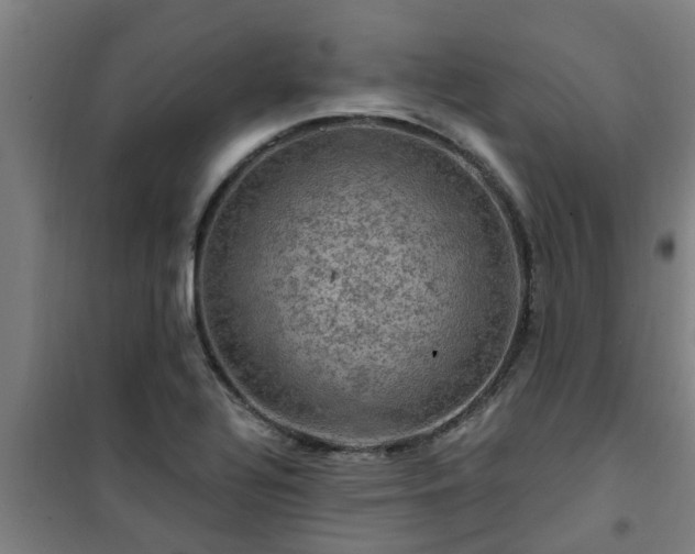 X0000101091320200807031717