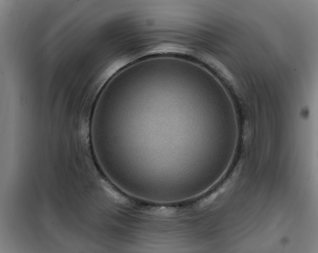 X0000101091321200807031717