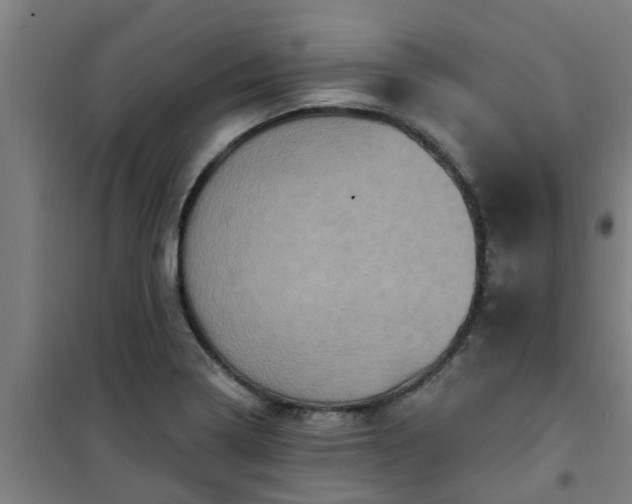 X0000101091322200807031717