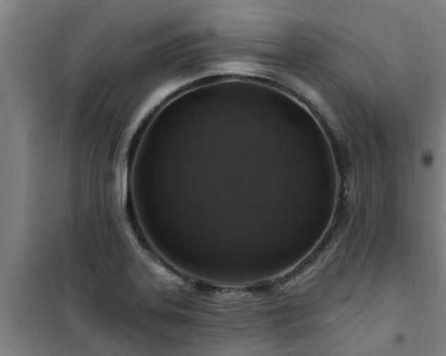 X0000101091323200807031717