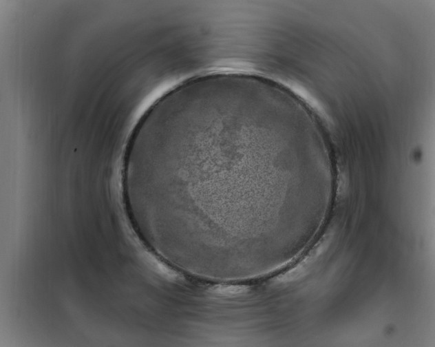 X0000101091325200807031717