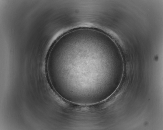 X0000101091326200807031717