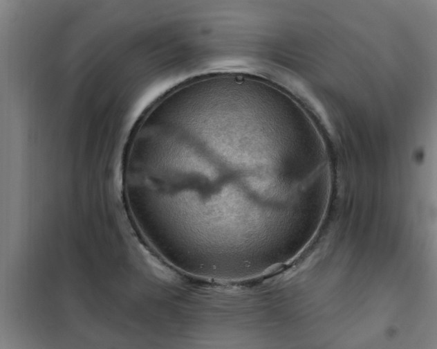 X0000101091328200807031717