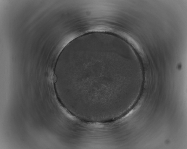 X0000101091329200807031717