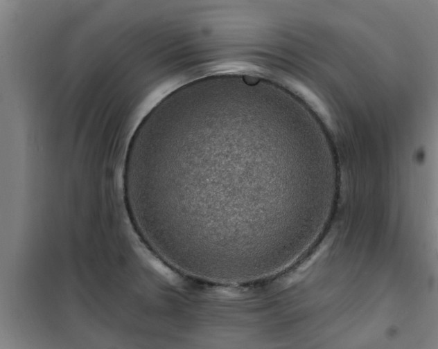 X0000101091330200807031717