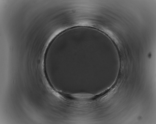 X0000101091331200807031717