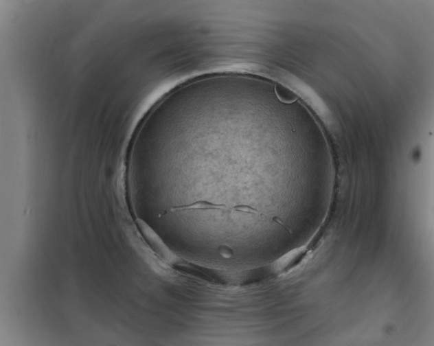 X0000101091332200807031717