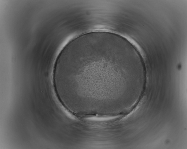 X0000101091333200807031717