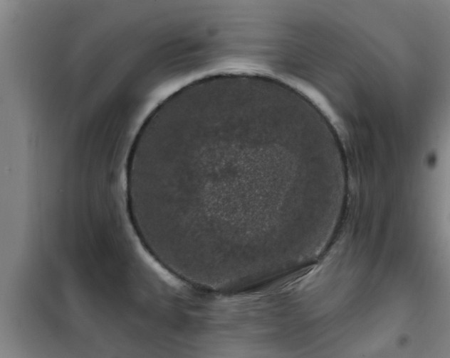 X0000101091335200807031717