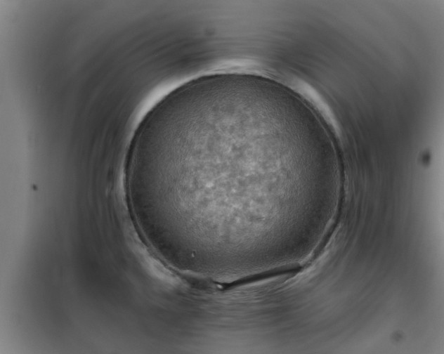 X0000101091336200807031717