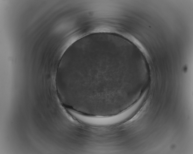 X0000101091337200807031717