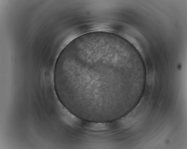 X0000101091338200807031717