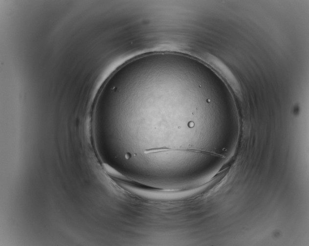 X0000101091340200807031717