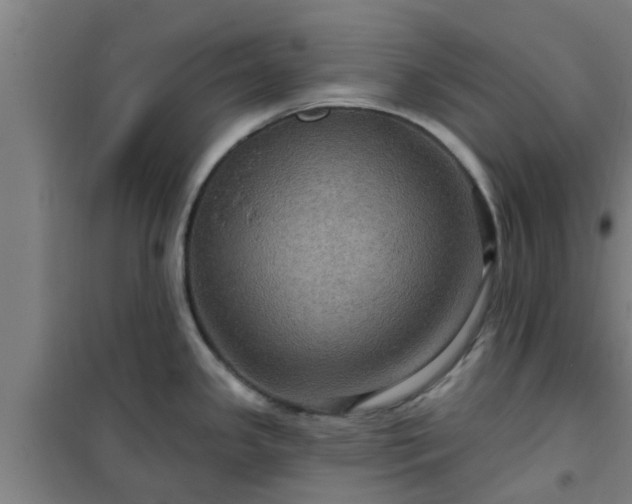 X0000101091341200807031717