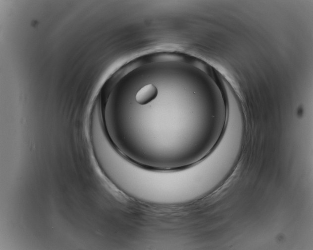 X0000101091342200807031717