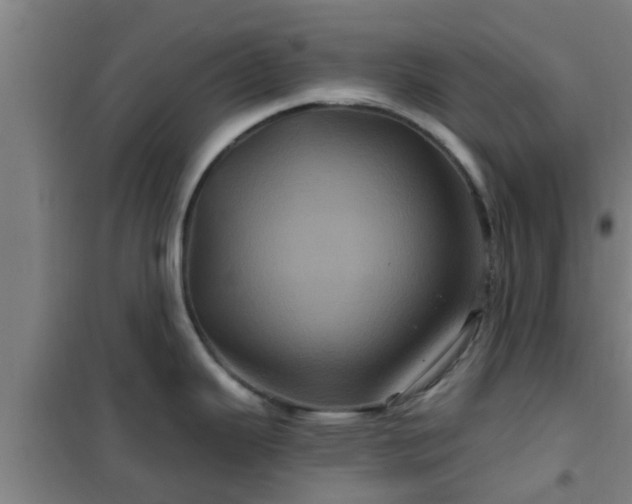 X0000101091343200807031717