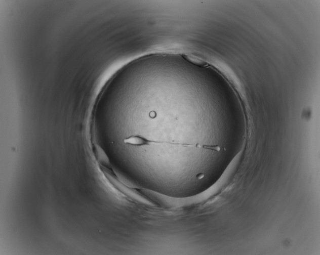 X0000101091344200807031717