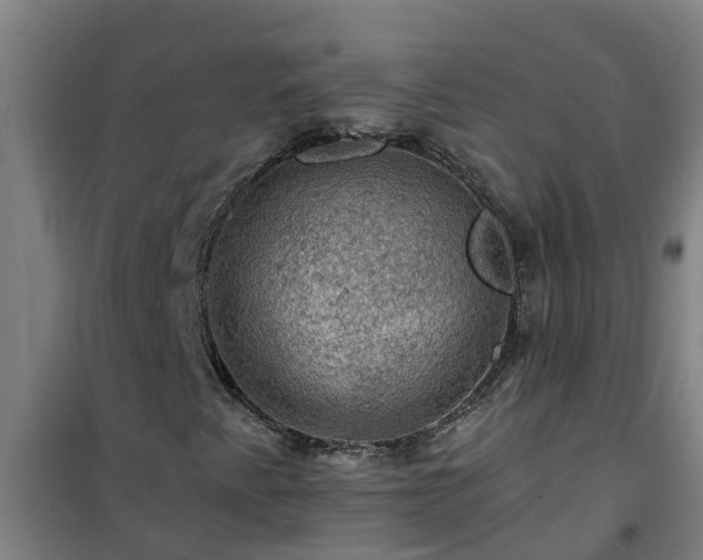 X0000101091345200807031717