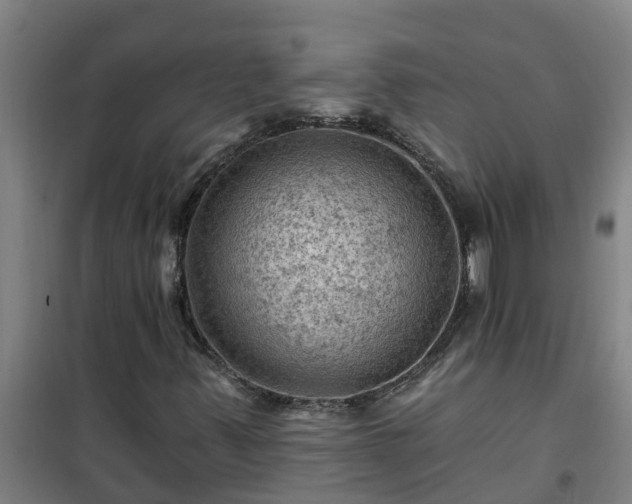 X0000101091347200807031717