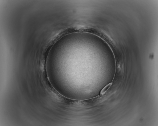 X0000101091348200807031717