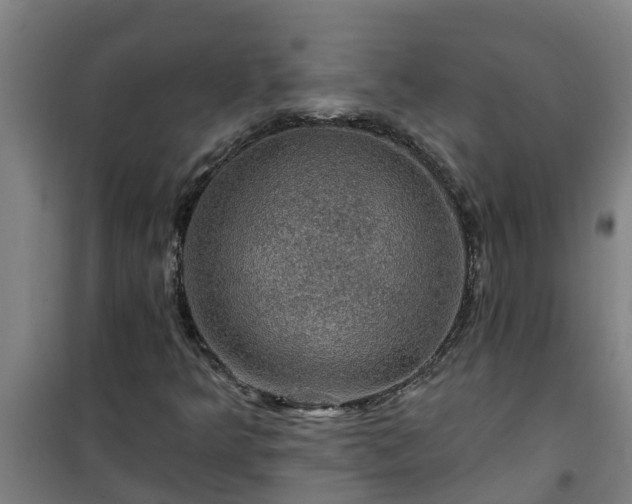 X0000101091349200807031717