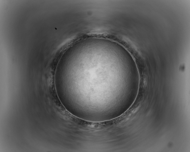 X0000101091350200807031717