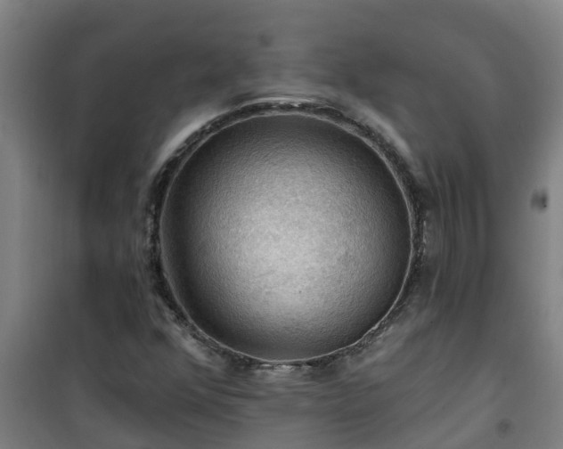 X0000101091352200807031717