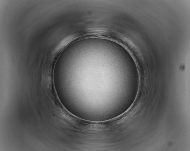 X0000101091354200807031717