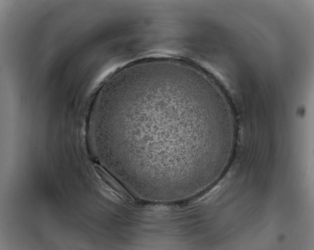 X0000101091355200807031717