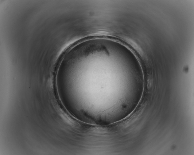 X0000101091356200807031717