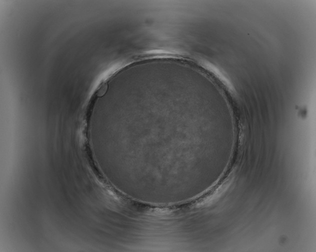 X0000101091357200807031717