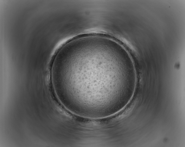 X0000101091358200807031717