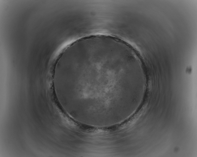 X0000101091359200807031716