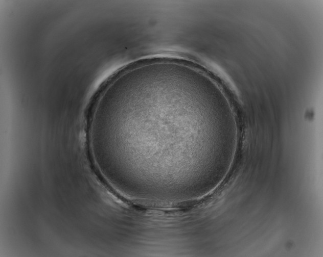 X0000101091360200807031716