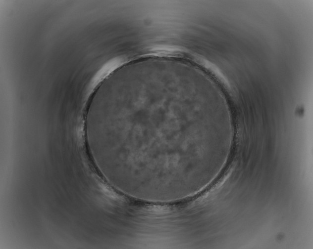 X0000101091362200807031716